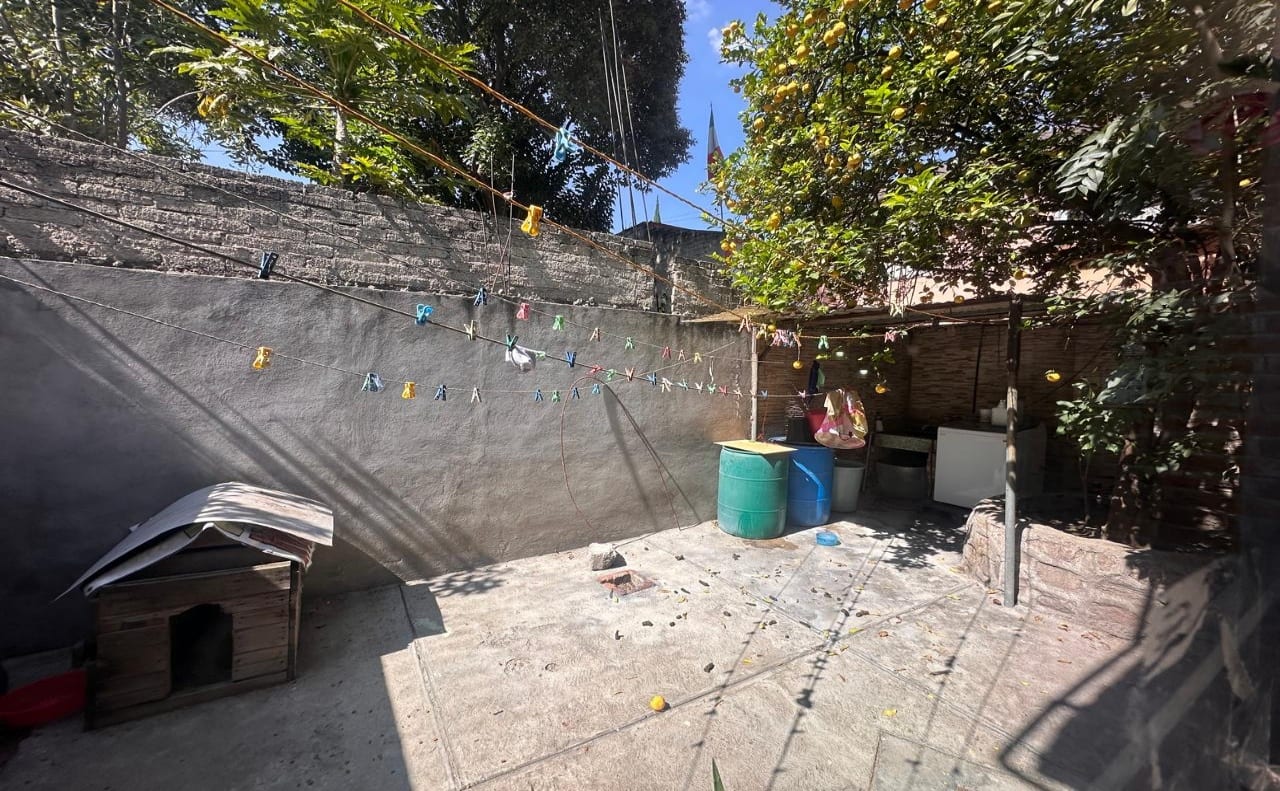 Patio trasero con árbol frutal y bardas perimetrales